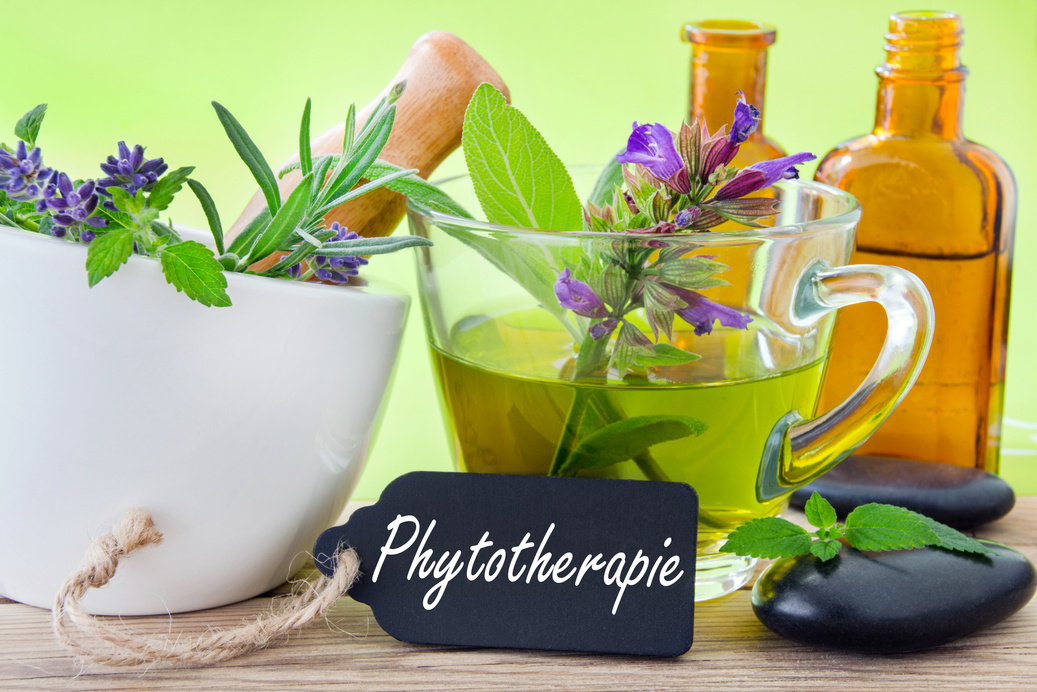German Phytotherapy label